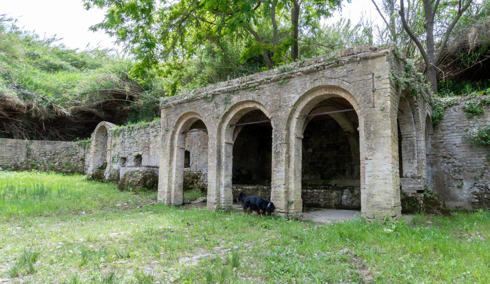 Altamira Residence Roseto Degli Abruzzi Esterno foto