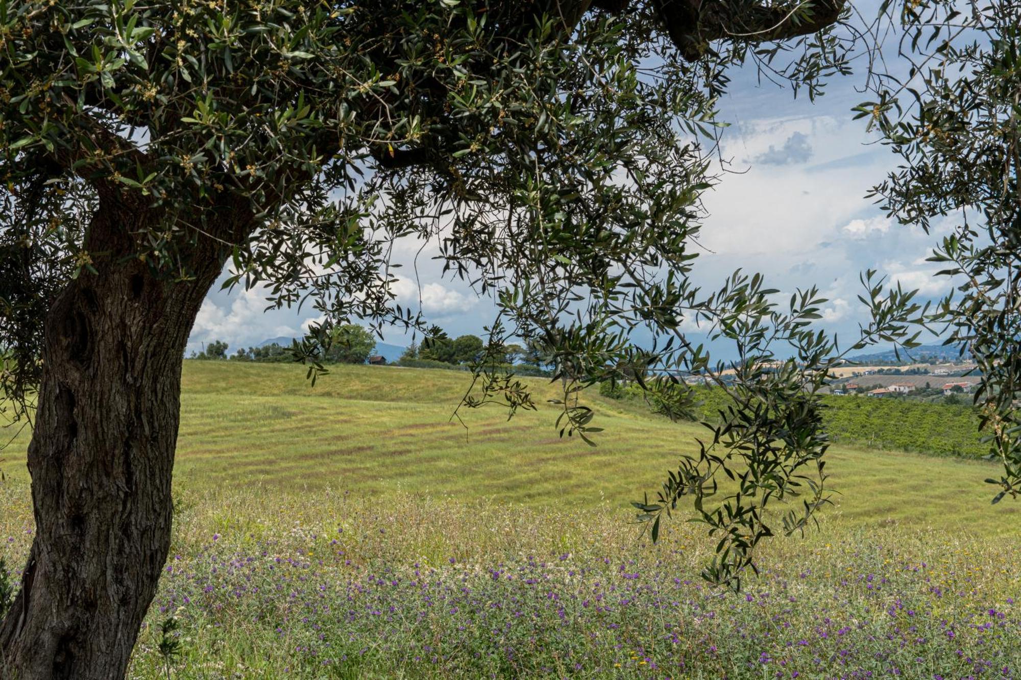 Altamira Residence Roseto Degli Abruzzi Esterno foto